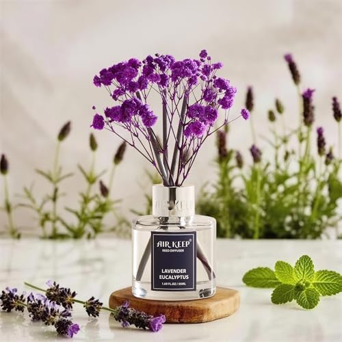 Airkeep Reed Diffuser Set,1.69 fl oz (50 ml) - Lavender Eucalyptus Oil Diffusers with 8 Reed Sticks,Home Fragrance Reed