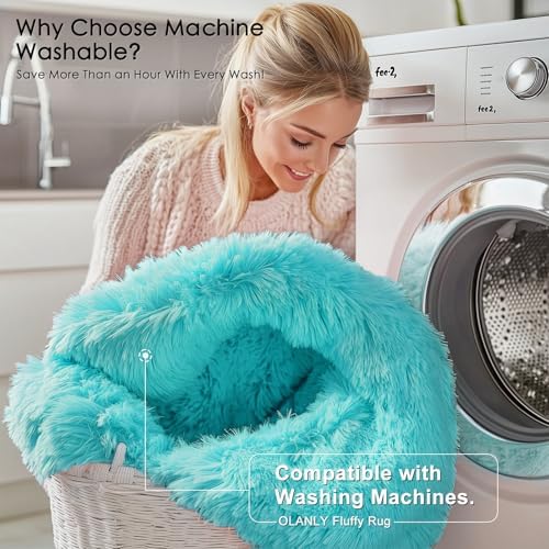 OLANLY 6x9 Machine Washable Large Area Rugs for Living Room, Bedroom, Soft Fluffy Shaggy Bedside Rug, Indoor Floor