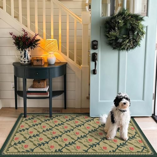 3x5 Entryway Rug, Small Washable Indoor Outdoor Mats for Front Door