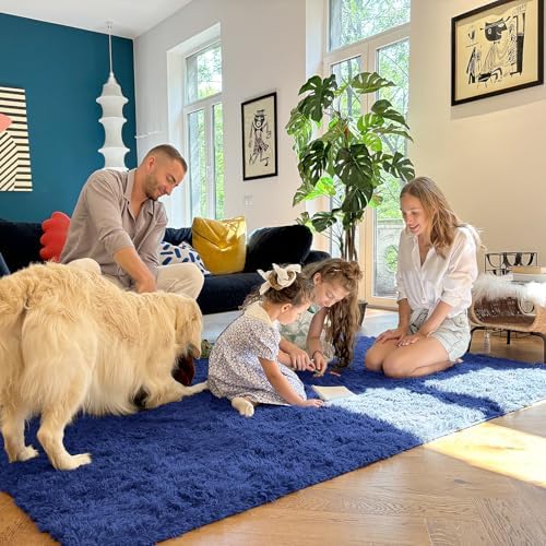 OLANLY 5x5 Area Rugs for Living Room Bedroom, Machine Washable Soft Fluffy Shaggy Bedside Rug, Indoor Floor Carpet for
