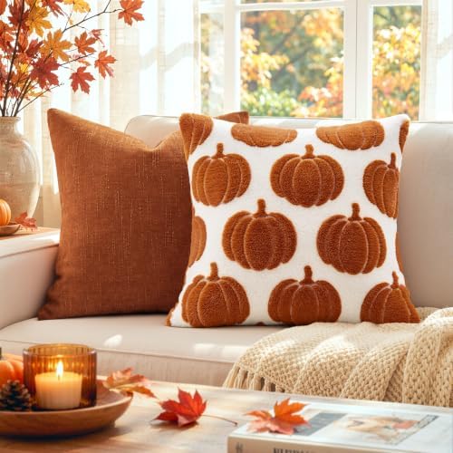 Fall Pumpkin Pillow Covers Fall Decor 18x18 Set of 2 Rust