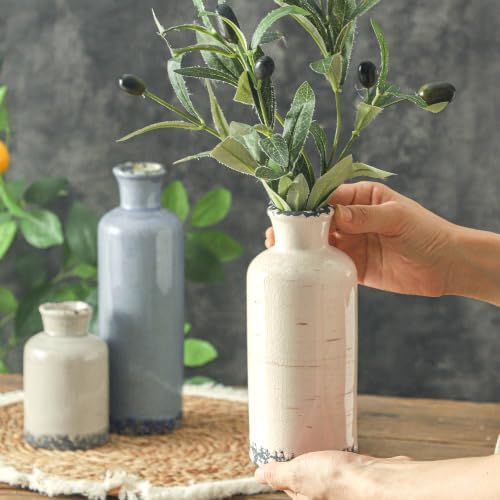 Ceramic Vase Set of 3, Neutral Flower Vases Home Decor, Pottery Rustic Farmhouse Decorative Vases Modern Decor for