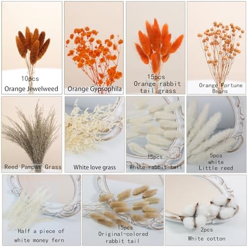 xin's convey DIY Natural Preserved Flower Kit Wholesale Preserved Flowers for Vases Stemmed Preserved Flowers Preserved Roses Mini Preserved Cotton Bouquets Fern Leaves Autumn Dried Flowers(Orange)