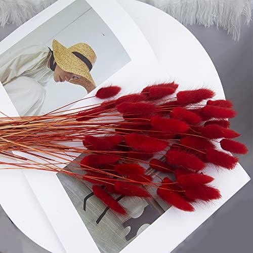 60pcs Dried Bunny Tails Flowers Red Pampas Grass Natural Dried Floral Arrangement Dry Flowers for Christmas Halloween Boho Decor Home Wedding DIY Craft Decoration (16")…