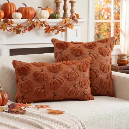 Artscope Pumpkin Fall Throw Pillow Covers 18x18 Set of 2, Autumn Soft Plush Faux Fur Decoration Cushion Covers for Thanksgiving Holiday Couch Sofa Bedroom Home Decor-Rust