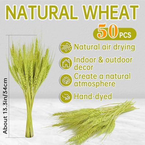 Sukh 50 Stems Dried Wheat Stalks - Green Wheat Straw for Vases 13.3 in