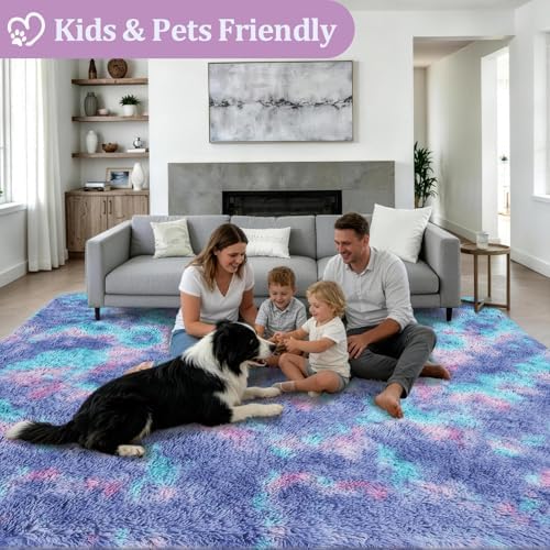Area Rug Living Room Bedroom: 6x9 Fluffy Plush Shag Carpet Rainbow