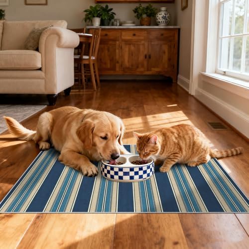 Front Door Mat Outside Entrance, 2x3 Navy Blue Coastal Striped Rug