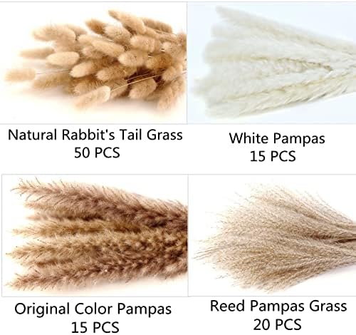 100 Stems Pampas Grass Contains Bunny Tails Dried Flowers / Set of 100