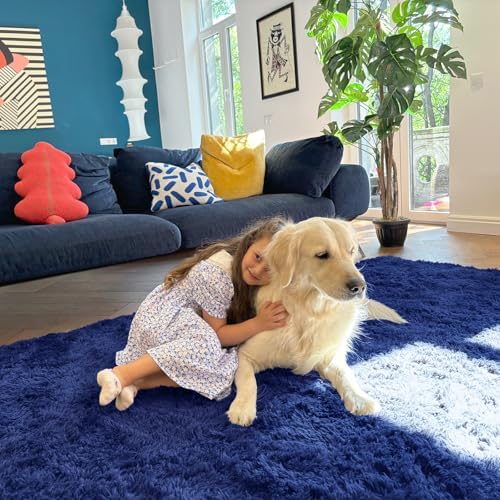 OLANLY 5x5 Area Rugs for Living Room Bedroom, Machine Washable Soft Fluffy Shaggy Bedside Rug, Indoor Floor Carpet for