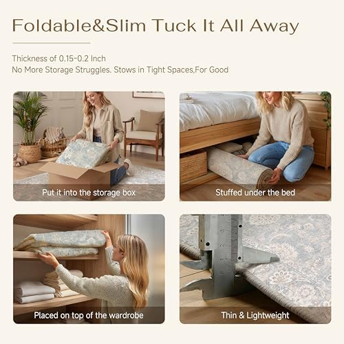 4x5 Blue Cream Neutral Area Rug