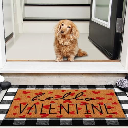 Tinideya 2 23.6 X 35.4 Inches Valentine Red Black White