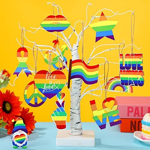 Qunclay 24 Pcs Patriotic Summer Ornaments Red White Blue Rainbow Style