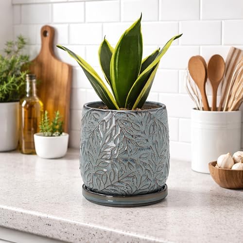 D'vine Dev Embossed Leaves Ceramic Planter, 5 in, Graphite Blue, 27-A-V-9