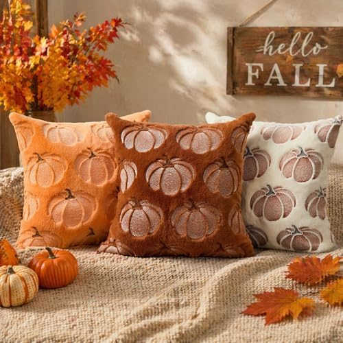 DFXSZ Fall Pillow Covers 16x16 Orange Pumpkin Plush Autumn Home Decor 93D16
