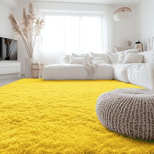 OLANLY 6x9 Machine Washable Large Area Rugs for Living Room, Bedroom, Soft Fluffy Shaggy Bedside Rug, Indoor Floor