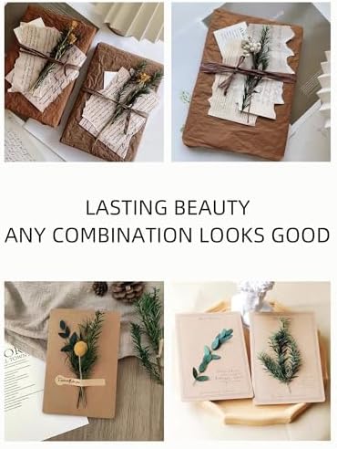 12 Kind Dried Flowers Set - Including Lavender, Eucalyptus, Wheat, Bunny Tails, Handmade for DIY Crafts, Vase Decor, Wedding/Home/Birthday/Seasonal Decor