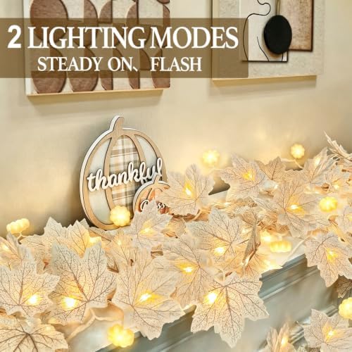 3D Pumpkin Lights & 40 LED 2 Pack Fall Garland Fall Decor Total 13FT