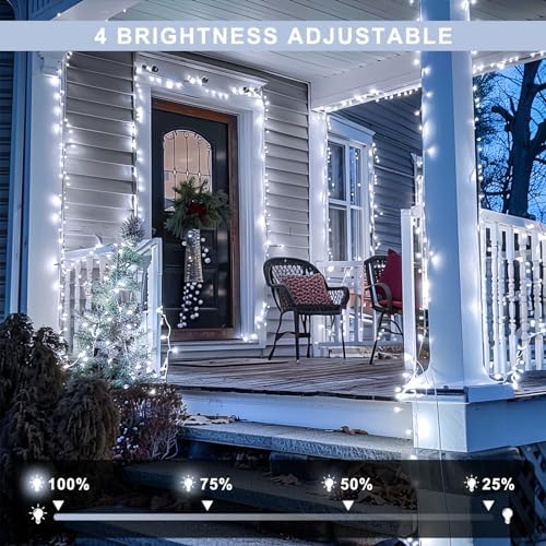 JMEXSUSS Clear Wire 163ft 500 LED White Christmas Lights Plug in