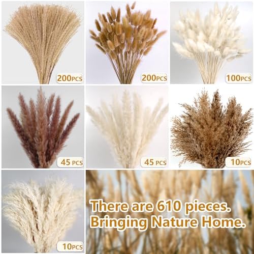 Dried Flower Bouquets / Set of 610