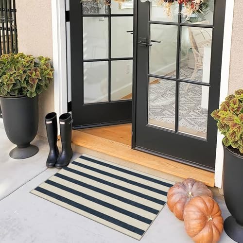 Blue and White Striped Outdoor Rug - 2x3 Non-Slip Front Door Mat