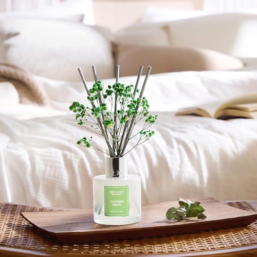 Airkeep Reed Diffuser Set,3.38 fl oz (100 ml) - Cucumber Melon Oil Diffusers with 8 Reed Sticks, Home Fragrance Reed