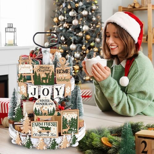 Funnymoom 17 Pcs Christmas Tiered Tray Decor Set Winter Tray Decorations