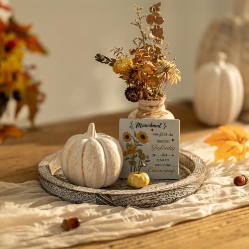 Hanobe Round Wood Candle Holder Tray, Rustic Coffee Table Centerpiece Decor