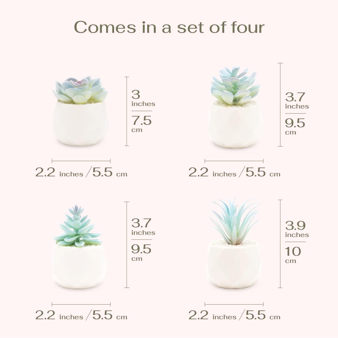 Mini Artificial Succulent in Pots Fake Plants / Blue / Ceramic