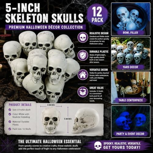 Fun Express White Plastic Realistic Skeleton Skulls, 5 Inch, 12 Pack