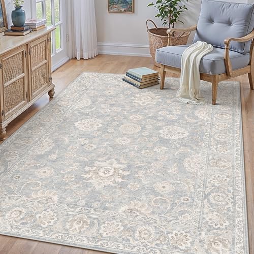 4x5 Blue Cream Neutral Area Rug