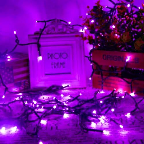 75.8FT 200 LED Extendable Purple Halloween String Lights Indoor Outdoor