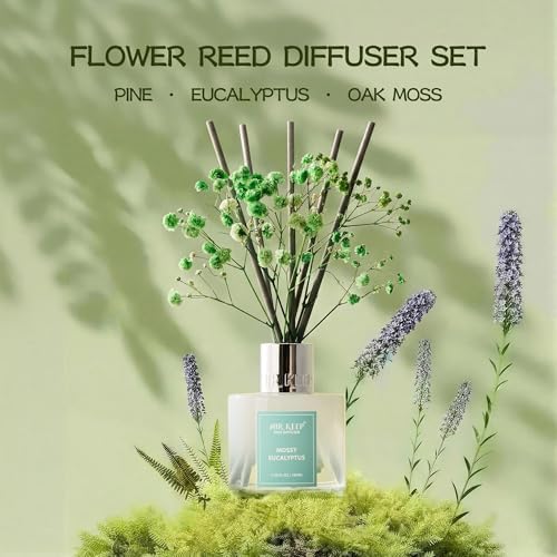 Airkeep Reed Diffuser Set,3.38 fl oz (100 ml) - Moss Eucalyptus Oil Diffusers with 8 Reed Sticks, Home Fragrance Reed