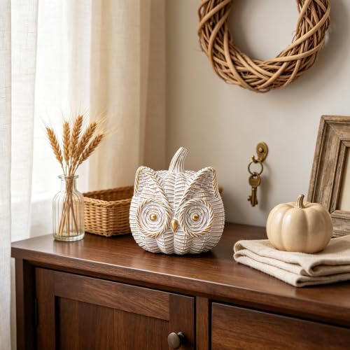 Fall Decor Animal Pumpkin Decorations – Owl Fake Pumpkin Resin Woven Design Animal Figurines for Home Table Shelf Mantel, Thanksgiving Halloween Decorations Gifts for Autumn Decor(Gold&White)