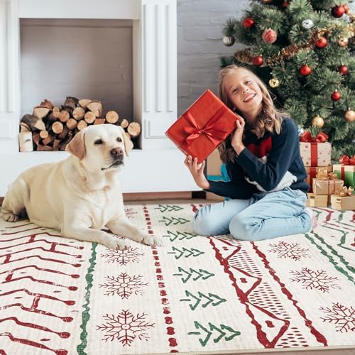 Nakagishi Christmas Rugs: 5x7 Washable Abstract Large Neutral Soft Rug Stain Resistant Modern Indoor Floor Non-Slip