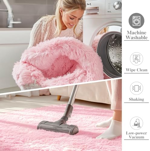 OLANLY 5x7 Machine Washable Large Area Rugs for Living Room, Bedroom, Soft Fluffy Shaggy Bedside Rug, Indoor Floor