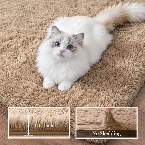 Area Rug Living Room Bedroom: 6x9 Fluffy Plush Shag Carpet Beige