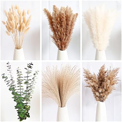 Bunny Tails Dried Flowers / 14-17inch Mixed / Set of 110