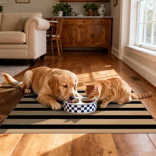 Front Door Mat Indoor Outside Entrance 2x3 Black Tan Striped Rug
