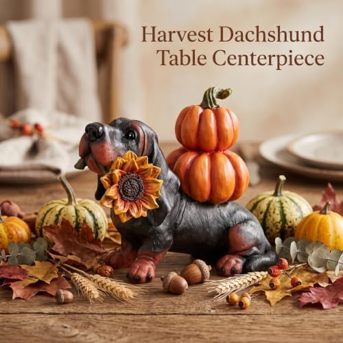 Thanksgiving Dachshund Dog Statue, Fall Pumpkin Dog Figurine Decor