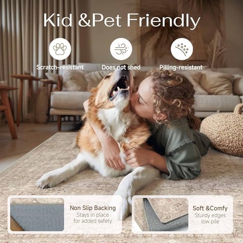 2x3 Beige Neutral Entryway Area Rug