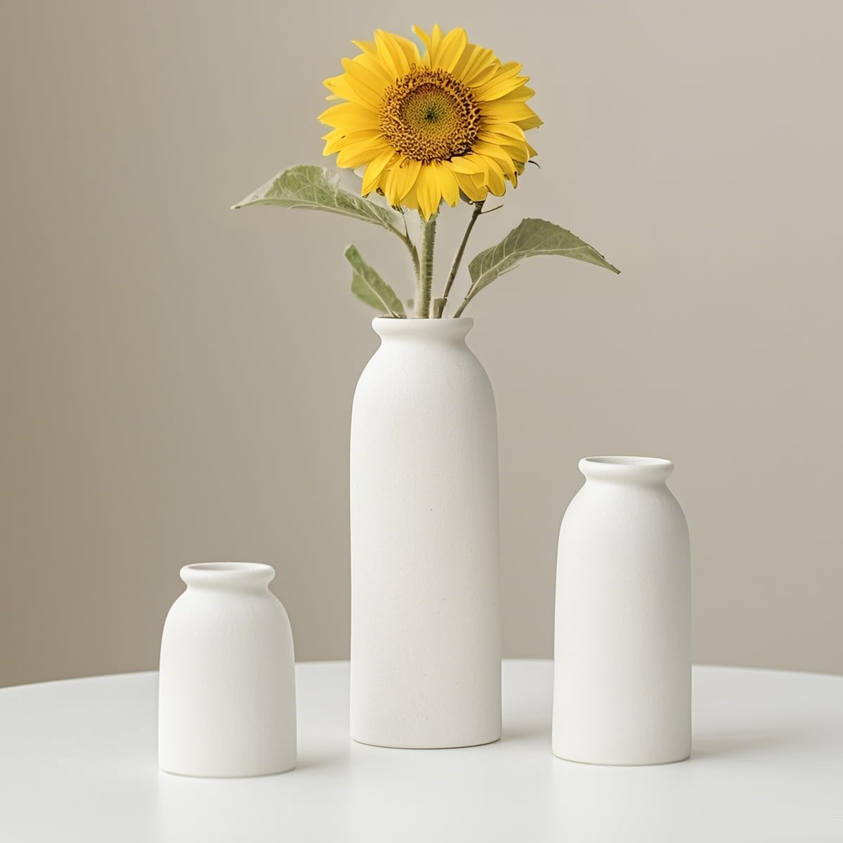 Ceramic Vase Set-3 / White