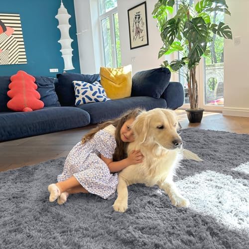 OLANLY 7x7 Machine Washable Large Area Rugs for Living Room, Bedroom, Soft Fluffy Shaggy Bedside Rug, Indoor Floor