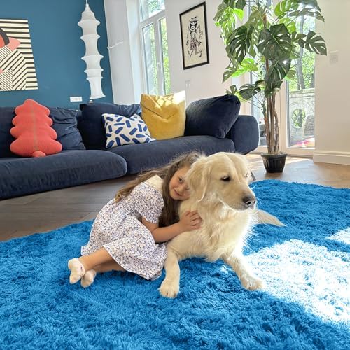 OLANLY 6x9 Machine Washable Large Area Rugs for Living Room, Bedroom, Soft Fluffy Shaggy Bedside Rug, Indoor Floor