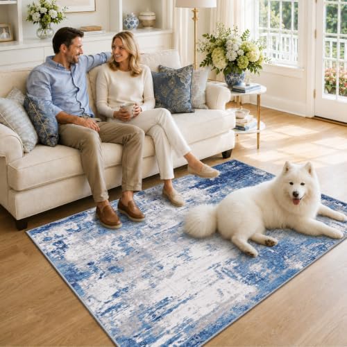 RELEANY Washable 4'x6' Abstract Area Rug for Living Room Blue Gray
