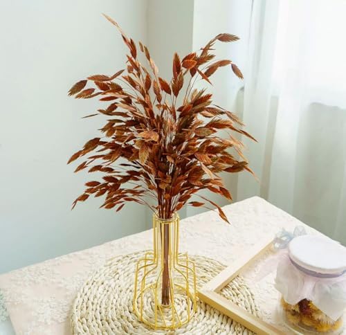 Dried Grass Bundle, 20 Stems 15-17 Inch Natural Chasmanthium Flower Bouquet for Vase, DIY Floral Arrangements, Weddings Party Home Baby Shower Elegant Decor (Brown)