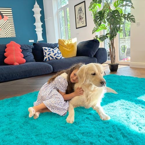 OLANLY 6x9 Machine Washable Large Area Rugs for Living Room, Bedroom, Soft Fluffy Shaggy Bedside Rug, Indoor Floor