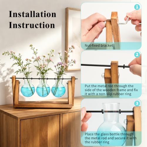 XXXFLOWER Plant Terrarium Kit with Wooden Stand 3 Gradient Blue Bulb Vases