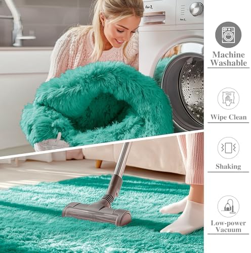 OLANLY 3x5 Machine Washable Small Bedside Rug, Soft Fluffy Shaggy Rugs for Living Room, Bedroom, Indoor Floor Carpet