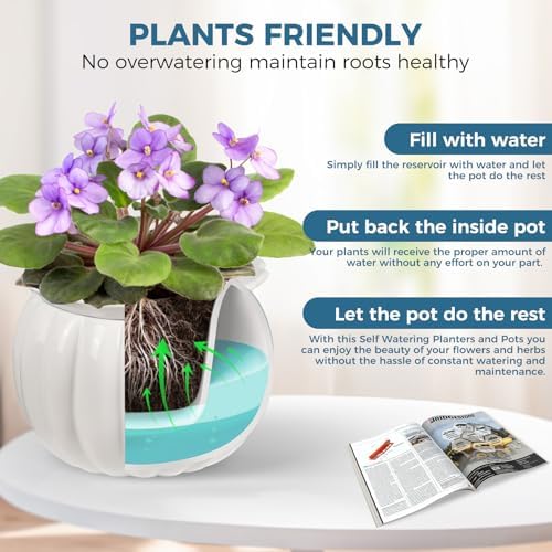 BUYMAX 6 Inch Self Watering Ceramic African Violet Pot Indoor Plant Pot